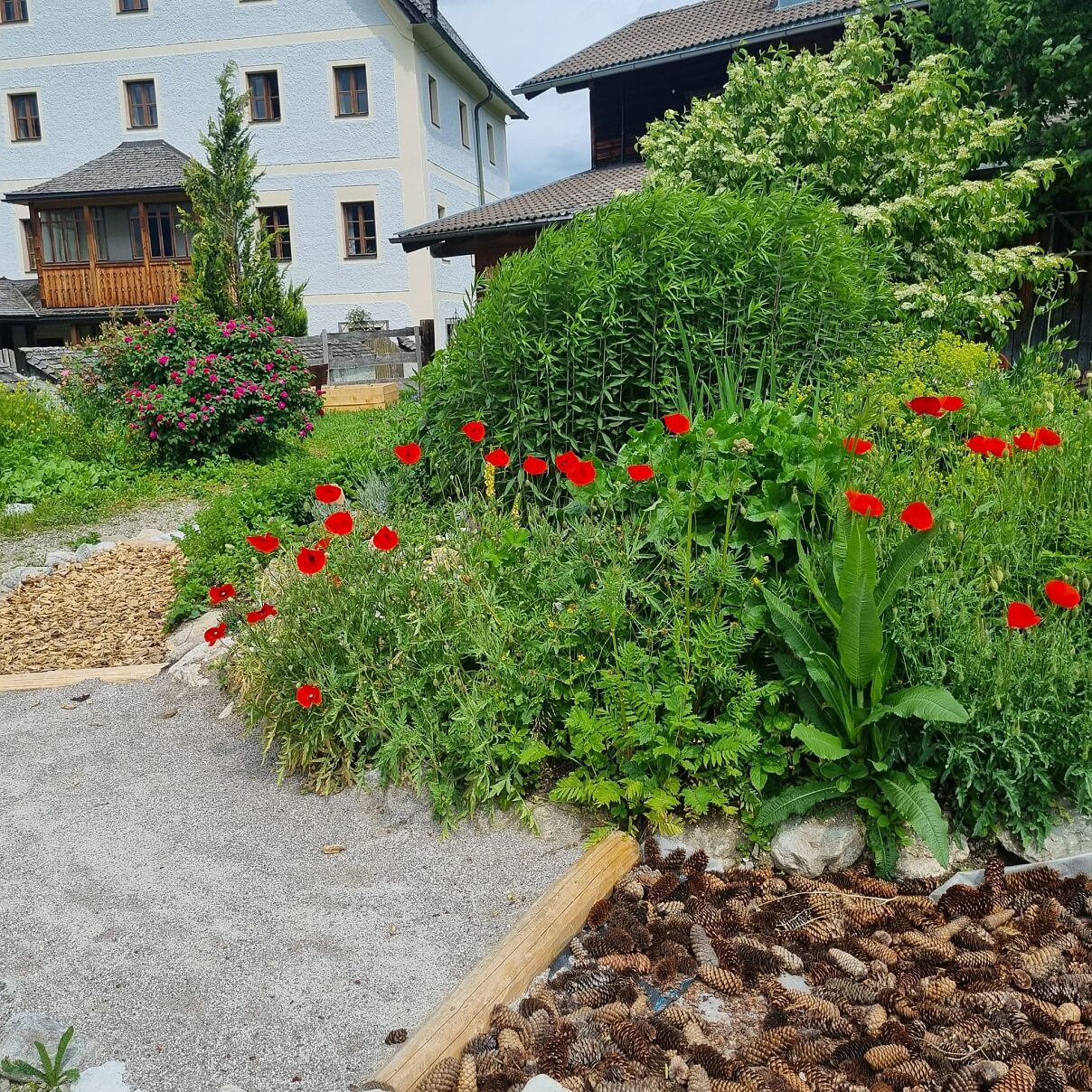 PR Foto SPAR Vielfaltspreis Maria Alm  Schulgarten 1