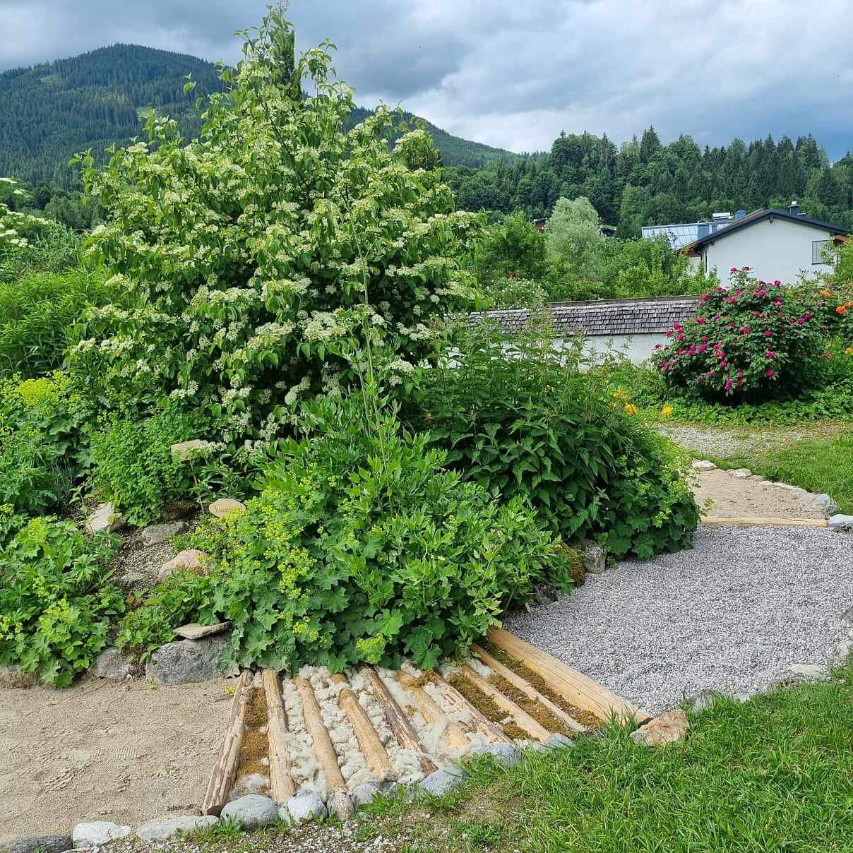 PR Foto SPAR Vielfaltspreis Maria Alm  Schulgarten 2