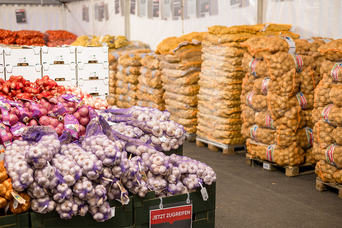 Bild6: Einkellerung bei Maximarkt