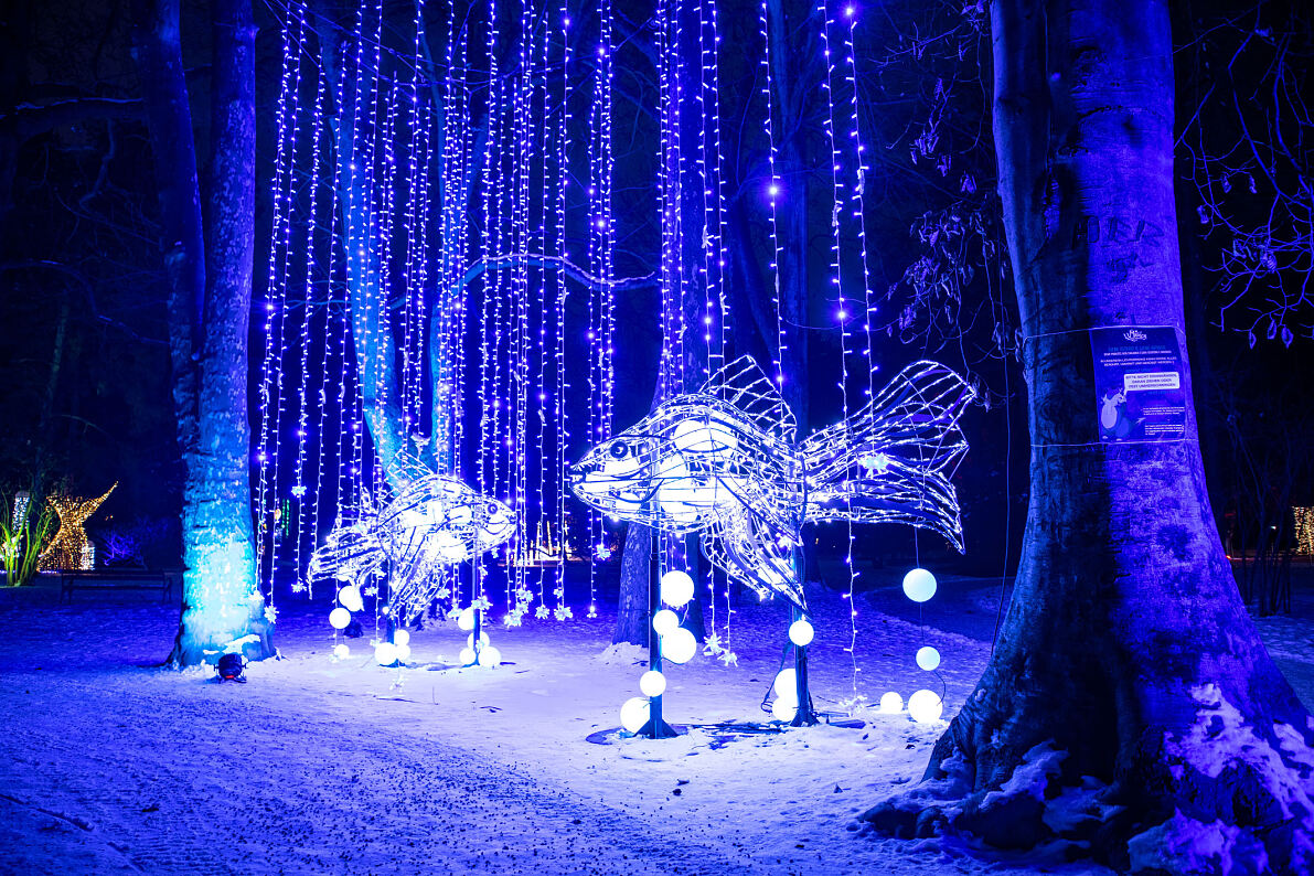 SPAR_at_innsbruck_Lumagica Innsbruck_lightpark_59