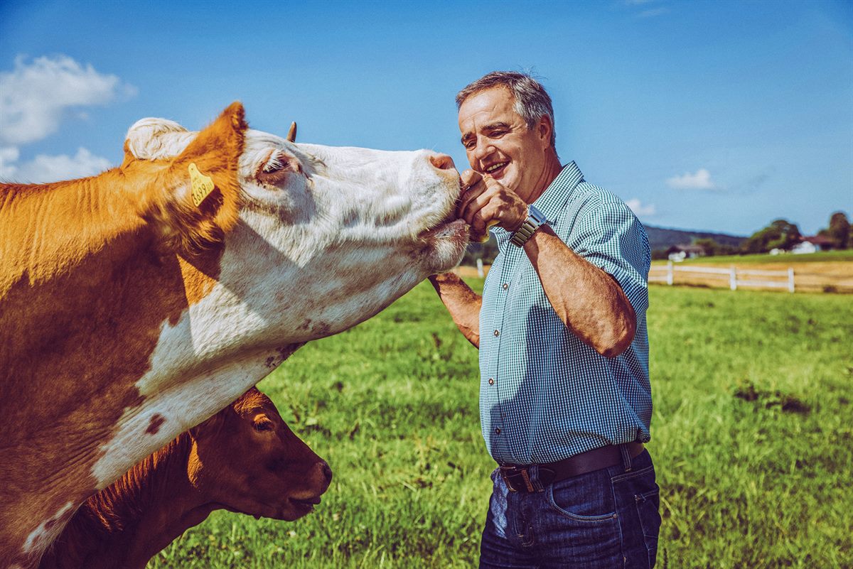 SPAR Natur-pur Bio-Bauer Hans Schernthaner achtet auf das Wohl seiner Rinder