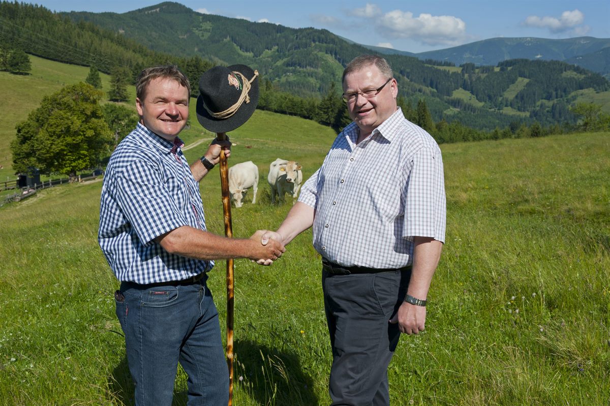 Partnerschaft.jpg