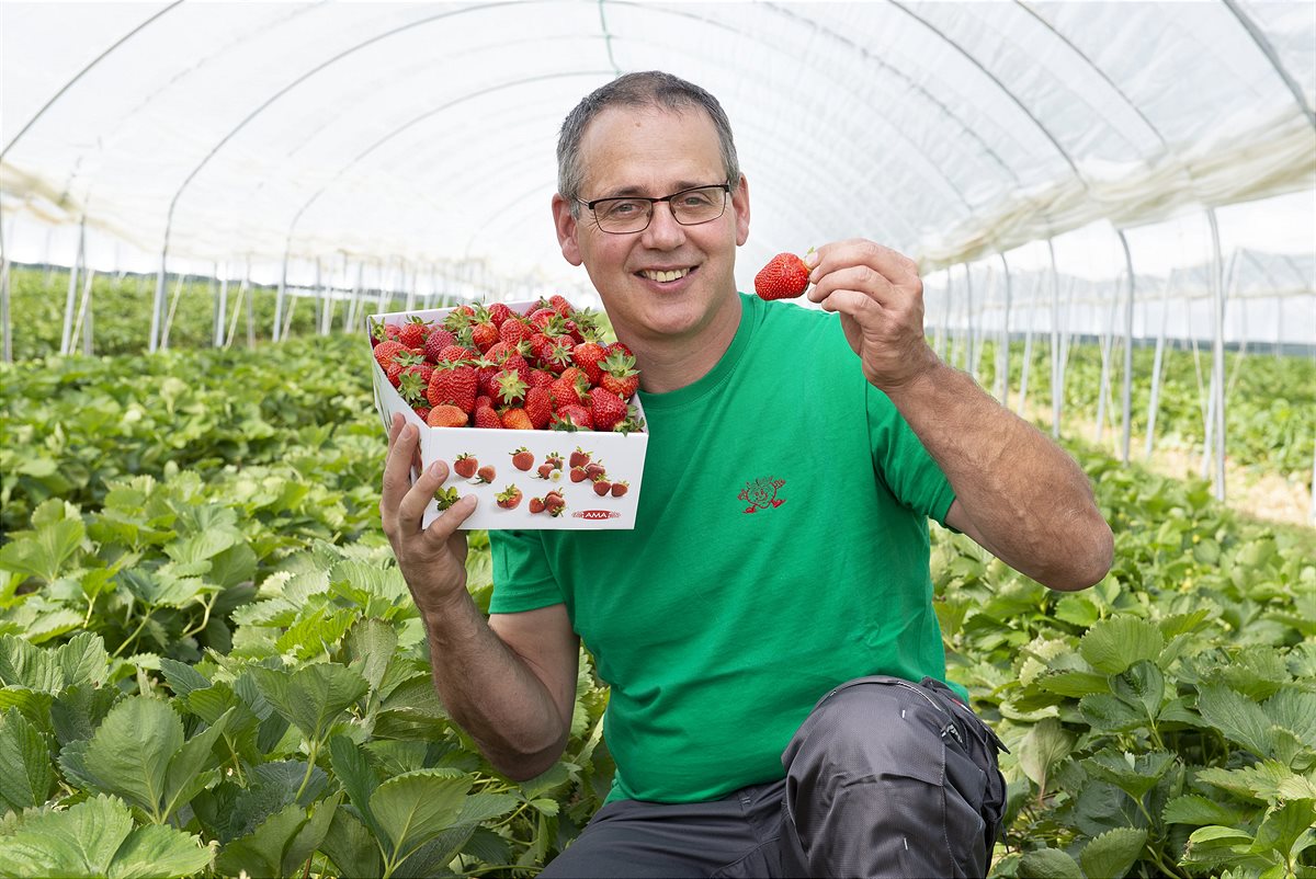 SPAR_Tiroler_Erdbeeren_-_Pfurtscheller