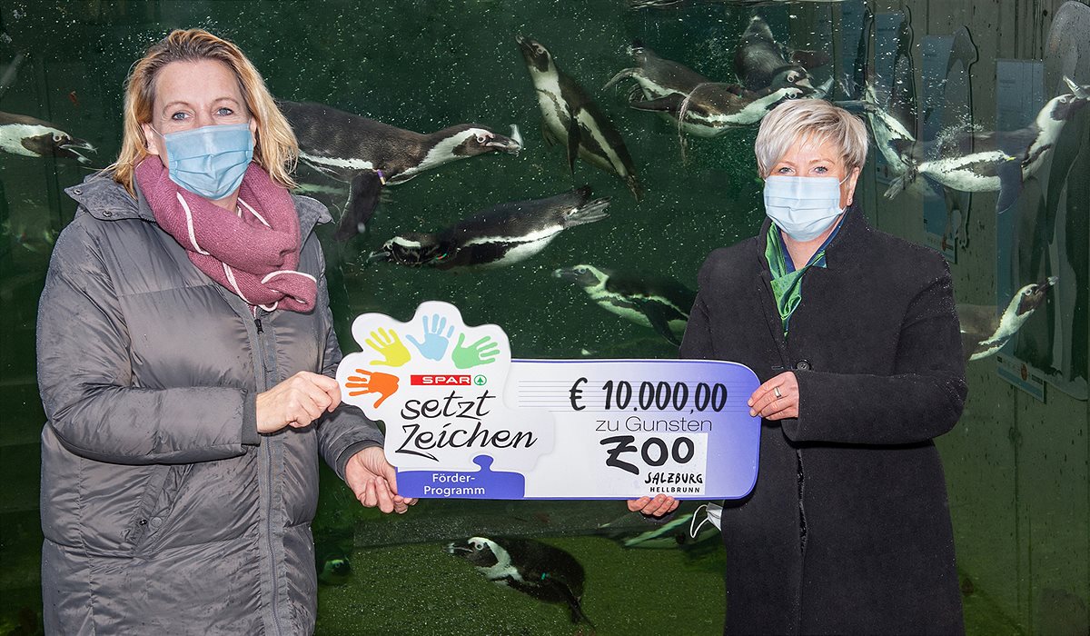 SPAR_Zoo_neues_Zuhause_Pinguine_Scheck_2020