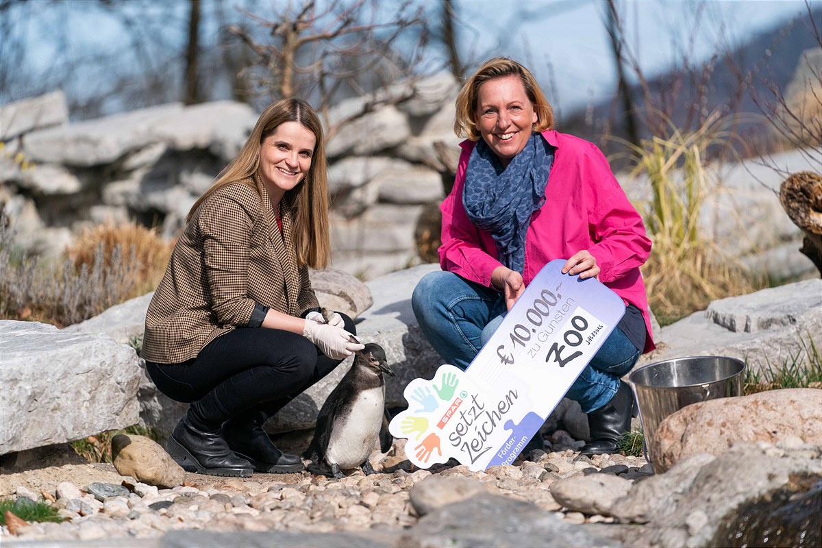 SPAR unterstützt Zuhause Pinguine Zoo Salzburg 2022