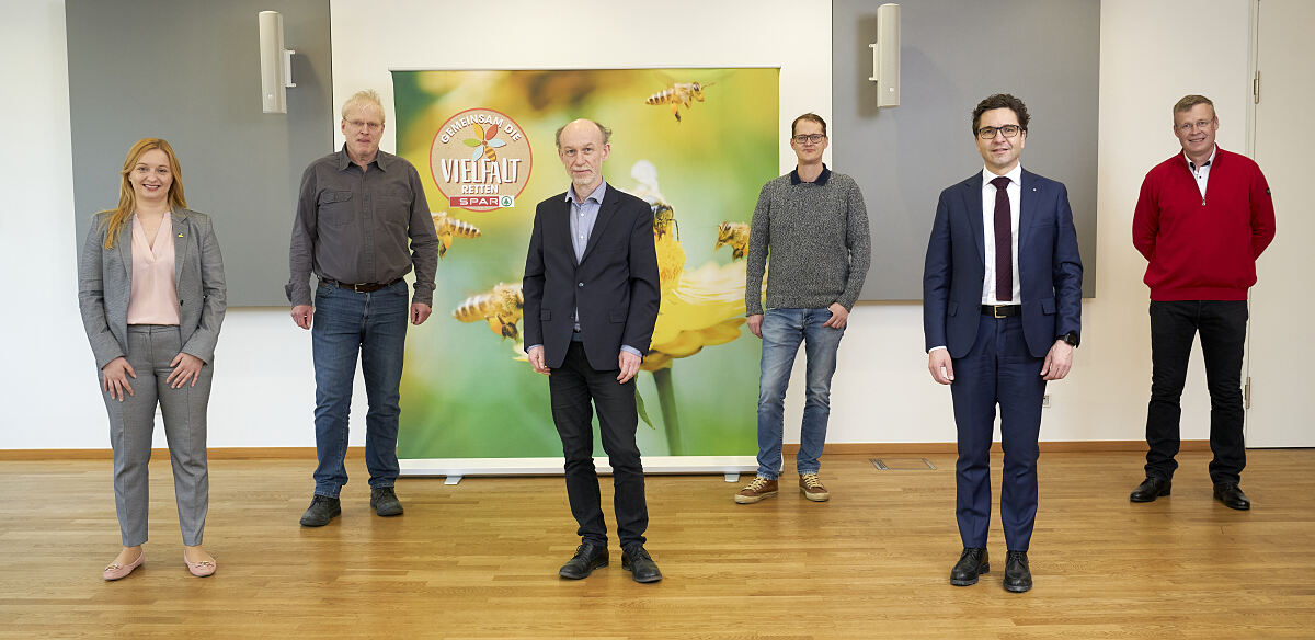 Video SPAR Bienenrat