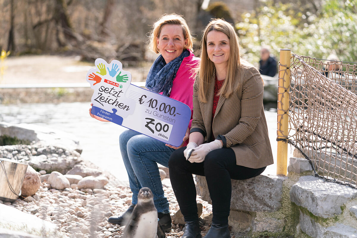 PA Foto 2024 SPAR-Pinguine Zoo Salzburg Patricia Sepetavc und Sabine Grebner