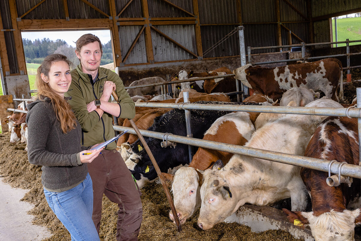 SPAR bekennt sich zu heimischen Rinderbauern